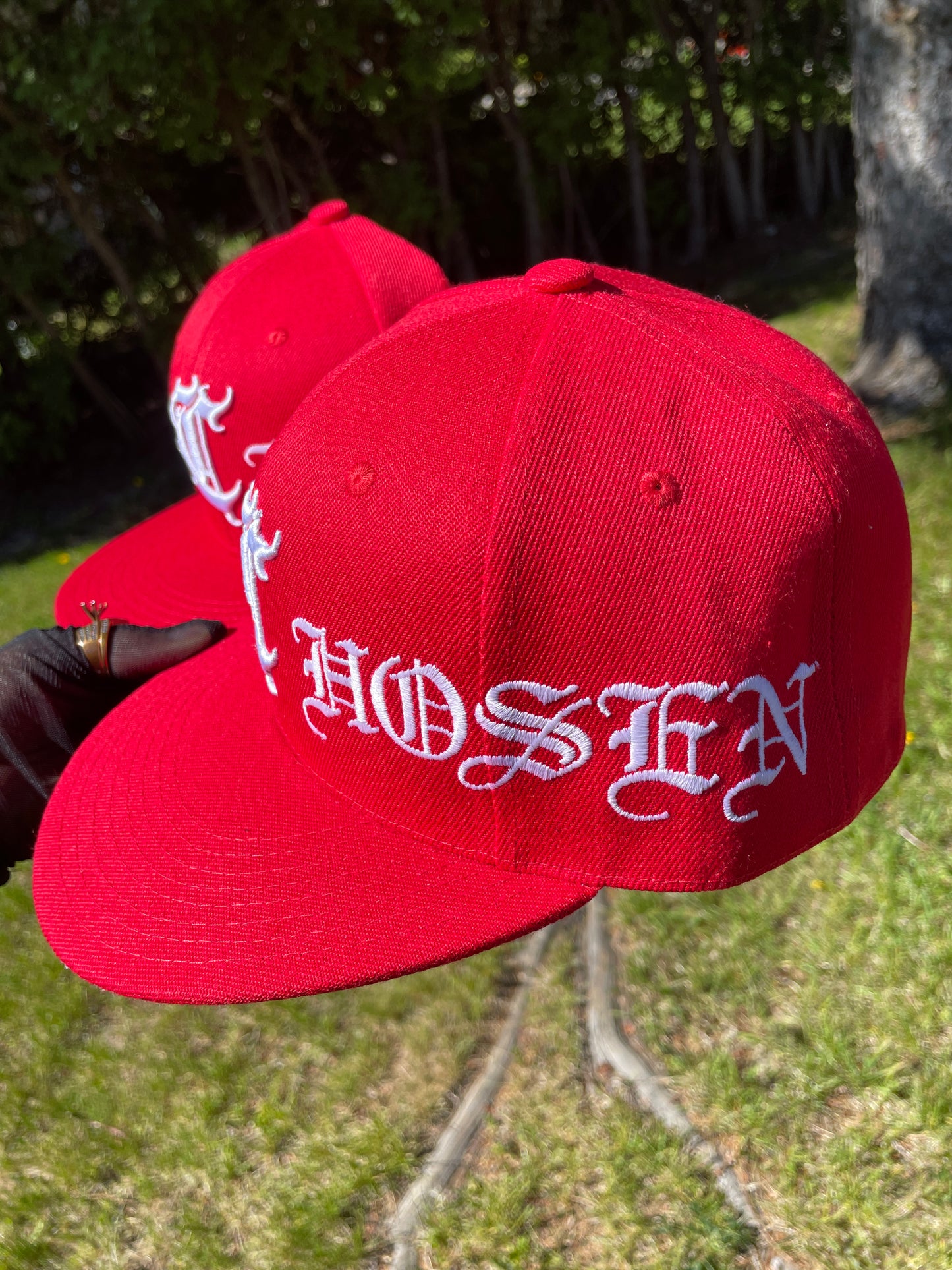 In the Beginning Fitted (Red)
